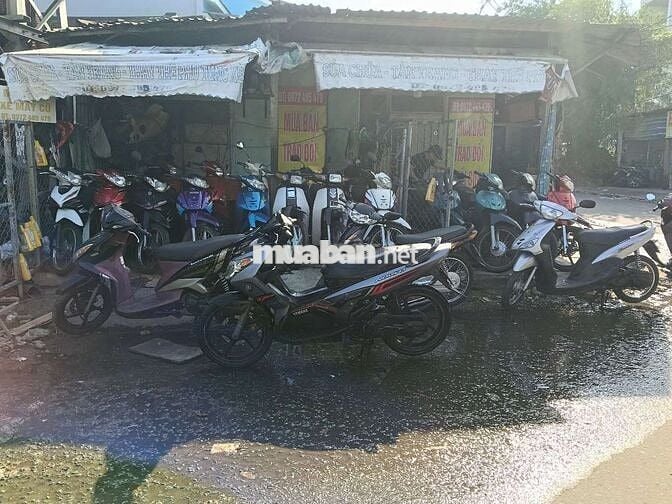 Yamaha Nouvo 3 Đen Tự động