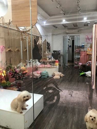 Bán nhà phố Thái Hà, Đống Đa 56m, 6 tầng. Giá: 20.5 tỷ