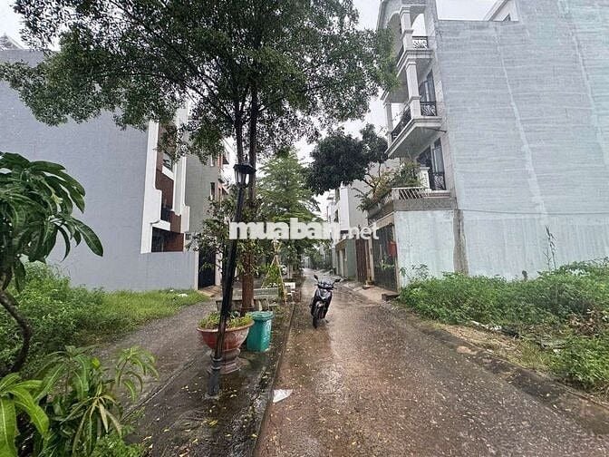 HXH Lê Đức Thọ - Đất Trống 4 x 19 - Full Thổ Cư - 7 Tỷ hơn TL