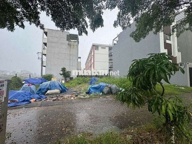 HXH Lê Đức Thọ - Đất Trống 4 x 19 - Full Thổ Cư - 7 Tỷ hơn TL