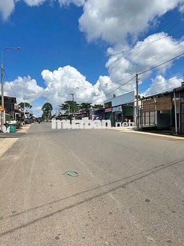 NGAY CỔNG KHU CÔNG NGIỆP BÌNH LỘC