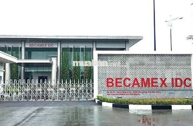 CUỐI NĂM BÁN GẤP ĐẤT ĐƯỜNG QL13, GẦN Khu công Nghiêp BECAMEX chỉ 500tr