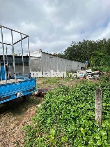 Chính chủ bán đất sổ sẵn 270m2, Lai Hưng, Bàu Bàng, ngay KCN Mỹ Phước