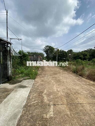 Chính chủ bán đất sổ sẵn 270m2, Lai Hưng, Bàu Bàng, ngay KCN Mỹ Phước