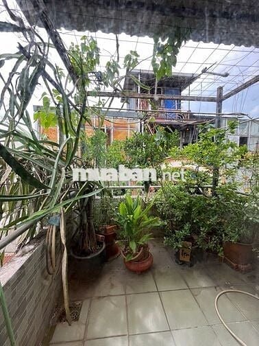 Q10 Lý Thái Tổ – Nhà 37m², 4PN, hẻm 4m, 2 lầu ST – giá 6.2 tỷ TL – hot