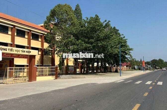 Sang nhanh lô đất 225m2 sát trung tâm Tân Hiệp, Phú Giáo,