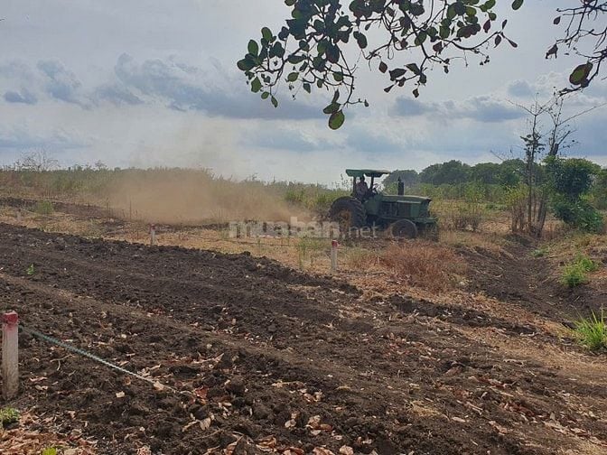 Chính chủ cần bán đất làm nhà vườn, view núi chứa chan