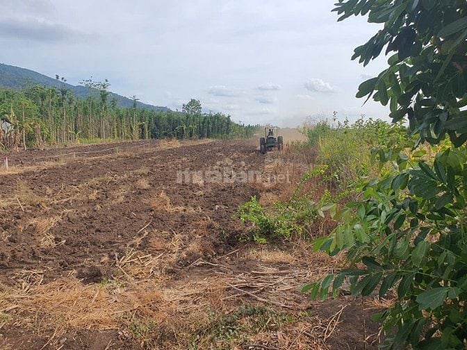 Chính chủ cần bán đất làm nhà vườn, view núi chứa chan