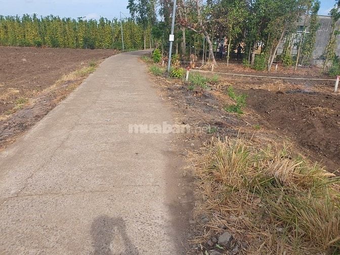 Chính chủ cần bán đất làm nhà vườn, view núi chứa chan