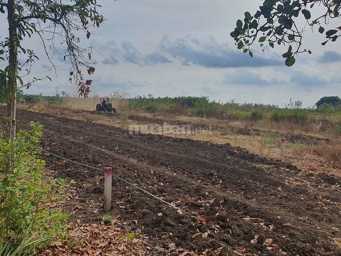 Chính chủ cần bán đất làm nhà vườn, view núi chứa chan