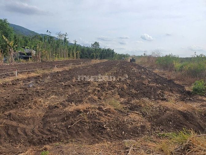 Chính chủ cần bán đất làm nhà vườn, view núi chứa chan