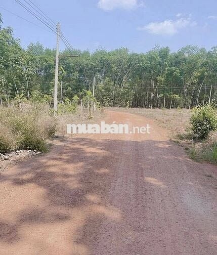 Có Lô Đất Mặt Tiền Đường Đất Cần Bán