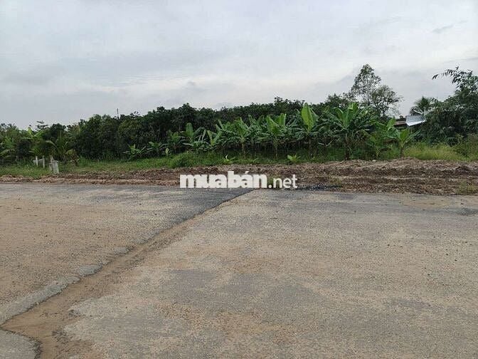 BÁN 2000M2 ĐẤT LÚA KHU TIỀM NĂNG MỚI