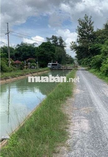 BÁN GẤP 5000m2 ĐẤT MẶT TIỀN TỈNH LỘ 15 - CỦ CHI -TIỀN TỶ TƯƠNG LAI