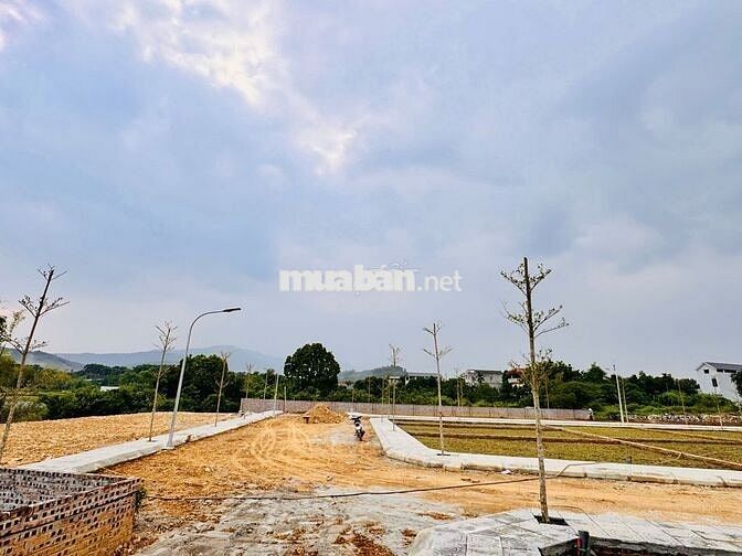 Đất Hòa Lạc LÔ GÓC -MẶT TIỀN QUYỀN LỰC 17m-100m2, full thổ cư - GIÁ F0