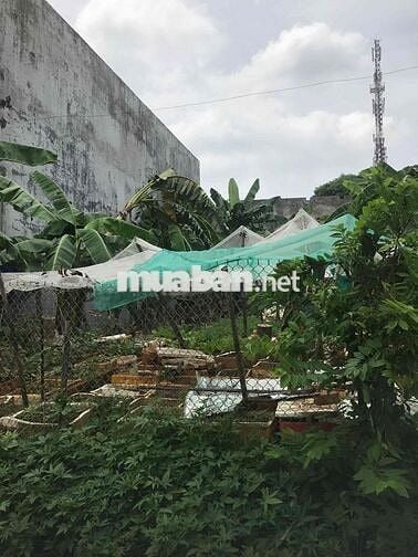 Bán đất thổ cư 86,5m² hẻm 1245 QL51, P. Phước Tân – Biên Hòa, hẻm 5m,