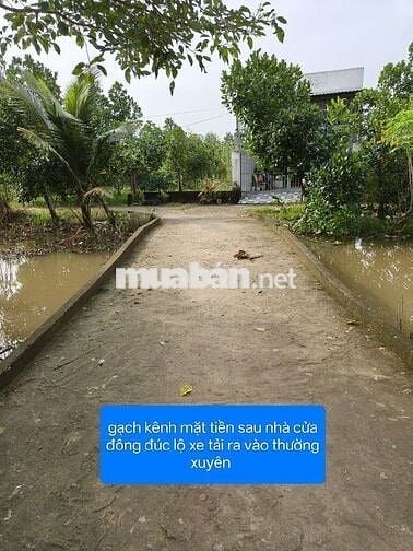BÁN 2000M2 ĐẤT LÚA KHU TIỀM NĂNG MỚI