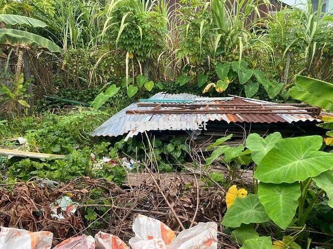 tôi chính chủ cần bán đất ở rạch giá cũ