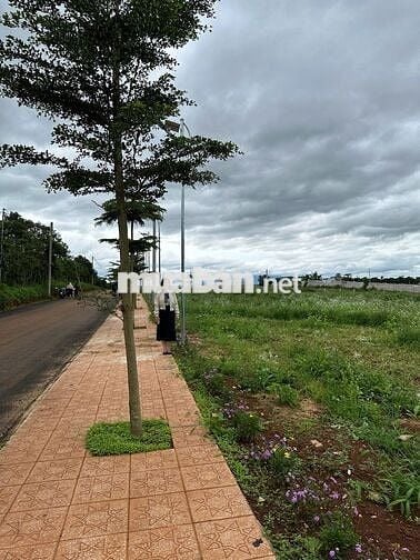 Đất nền ven Đà Lạt - Gần nút giao cao tốc SG-ĐL, Gần Sân Bay- Sổ Riêng