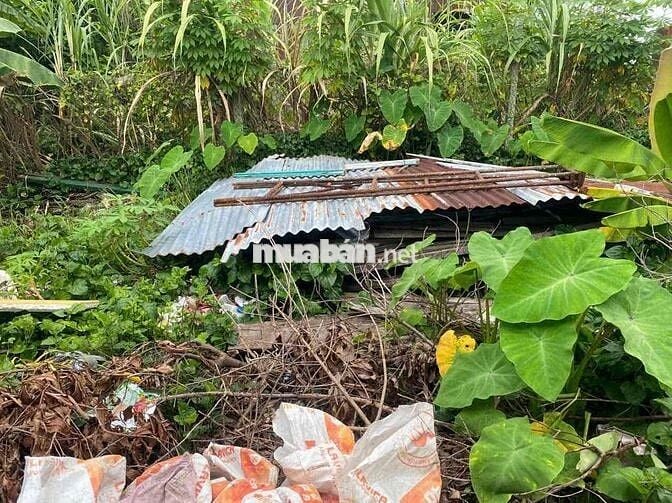 tôi chính chủ cần bán đất ở rạch giá cũ