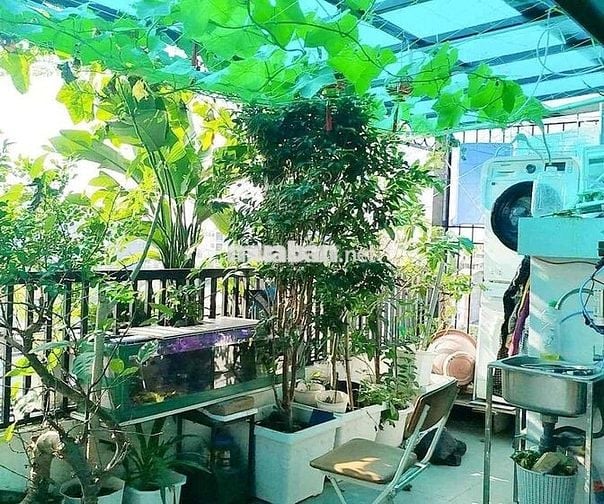 🏡 BÁN NHÀ PHỐ CỔ NGỌC LÂM LONG BIÊN RA 20M NHÀ 6 TẦNG THANG HƠN 8 TỶ