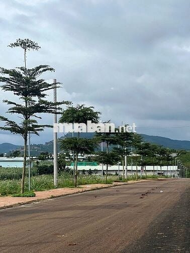Đất nền ven Đà Lạt - Gần nút giao cao tốc SG-ĐL, Gần Sân Bay- Sổ Riêng