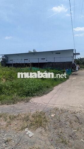 Cần bán đất 2 mặt tiễn  Lộc An gần chợ mới Long Thành