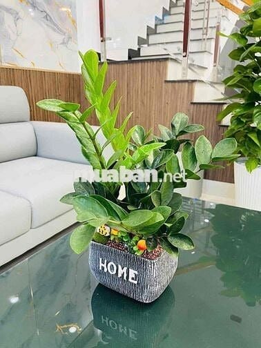 Bán nhà Đô Đốc Tuyết - Hoà Xuân