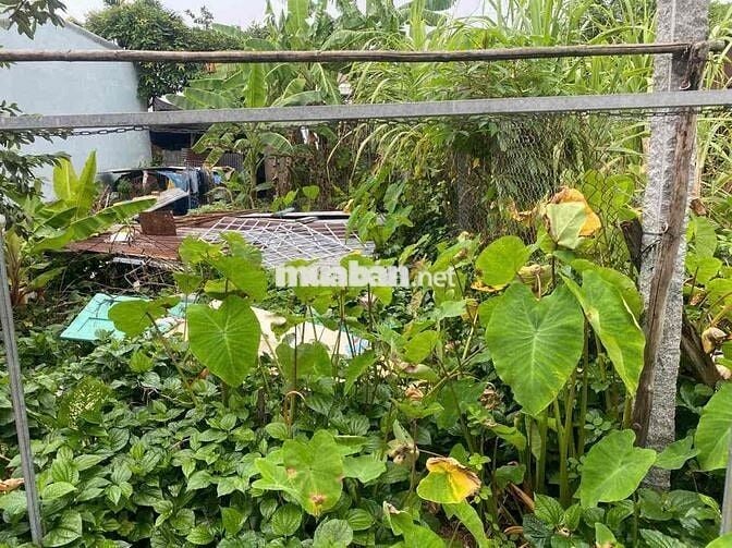 tôi chính chủ cần bán đất ở rạch giá cũ