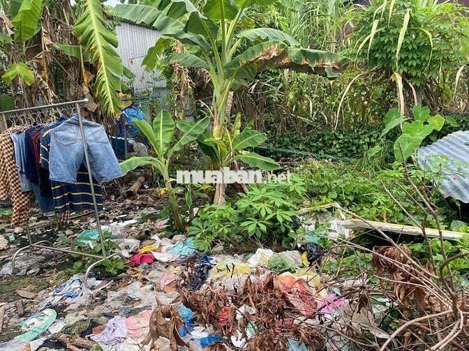 tôi chính chủ cần bán đất ở rạch giá cũ