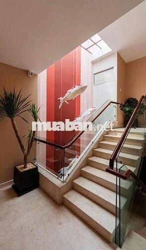 NHÀ MỚI, CÓ SÂN CỰC CHILL TẠI 56B TRẦN NHẬT DUẬT QUẬN 1