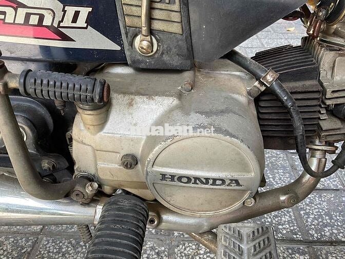 bán dream 1 zin, không đề