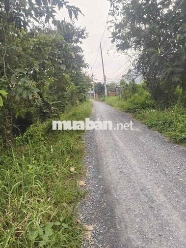 Bán đất Long An - Nhận kí gửi, tìm mua đất