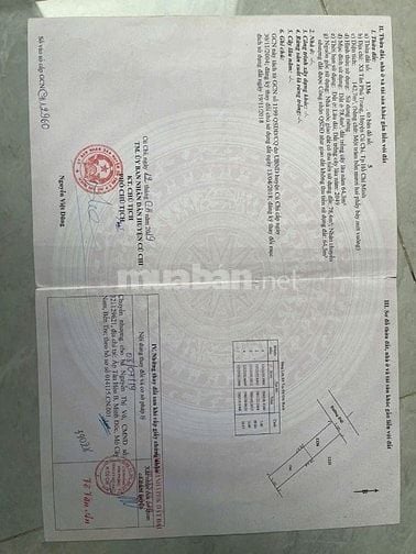 🌿 BÁN ĐẤT ẤP CÂY DA – TÂN PHÚ TRUNG, CỦ CHI 🌿