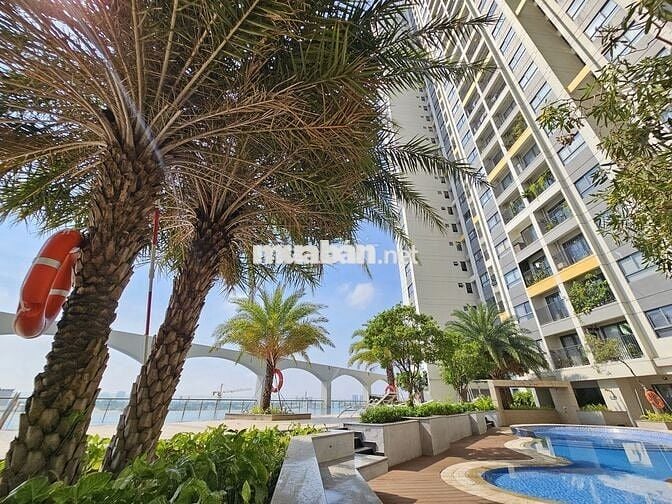 🌟 RỔ HÀNG CĂN HỘ THE PEGASUITE 1 – CẬP NHẬT T11 - XEM NHÀ LINH HOẠT