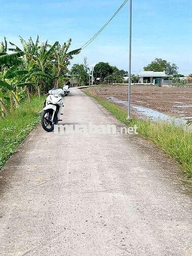 Tôi cần tiền cần bán gấp, giá rẻ nhất khu vực.