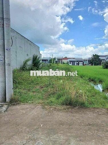 *** ĐẤT THỔ CƯ CHÍNH CHỦ, KHU DÂN CƯ CHÂU THỊ KIM, PHƯỜNG 7, TÂN AN, L