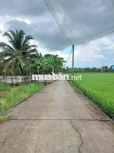 *** ĐẤT THỔ CƯ CHÍNH CHỦ, KHU DÂN CƯ CHÂU THỊ KIM, PHƯỜNG 7, TÂN AN, L