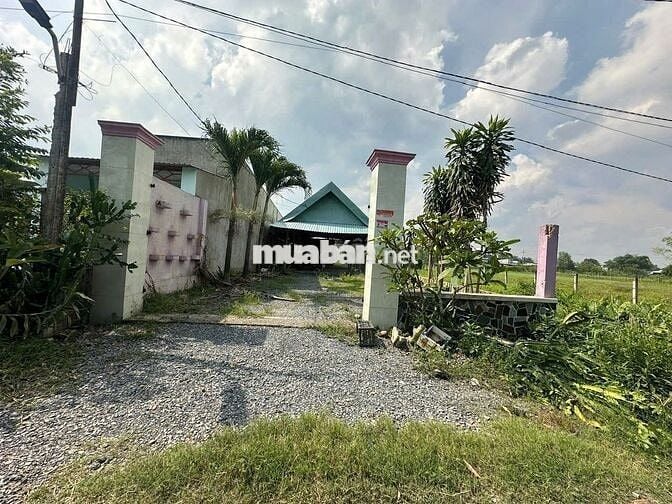 Cần sang nhượng lô đất Mỹ Hạnh, Đức Hoà, DT 299m2, giá chưa tới 1 tỷ