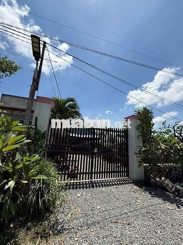 Cần sang nhượng lô đất Mỹ Hạnh, Đức Hoà, DT 299m2, giá chưa tới 1 tỷ