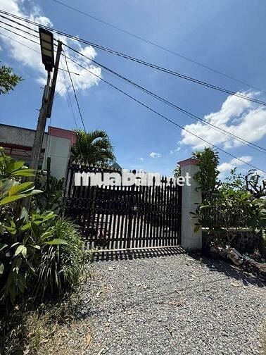 Cần sang nhượng lô đất Mỹ Hạnh, Đức Hoà, DT 299m2, giá chưa tới 1 tỷ