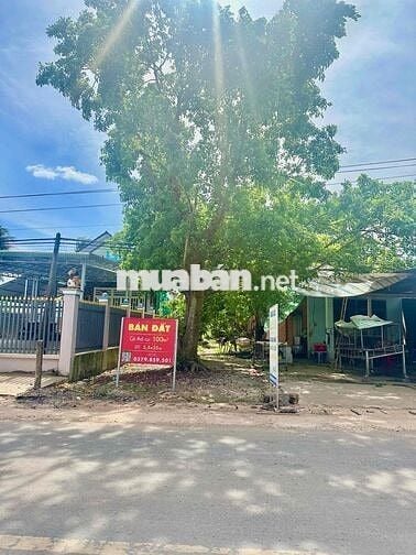 BÁN ĐẤT CHỢ PHƯỚC VINH - CHÂU THÀNH