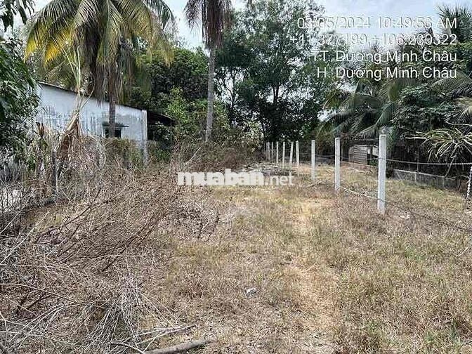 315 m² đất mặt tiền đường Lê Thị Riêng, Dương Minh Châu