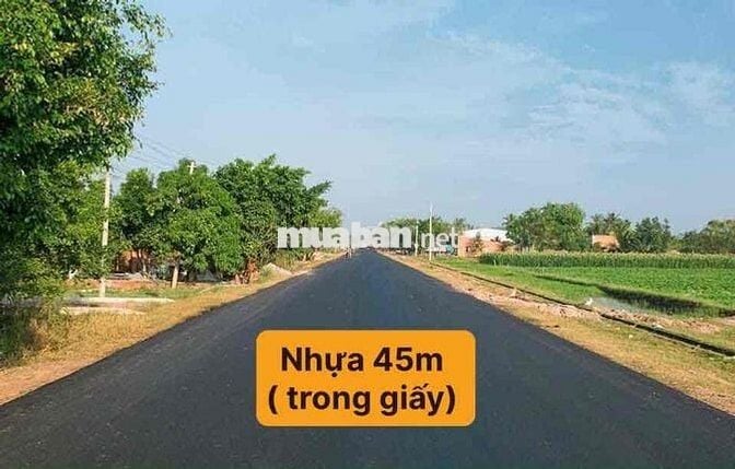 BÁN ĐẤT CHỢ PHƯỚC VINH ĐƯỜNG 788