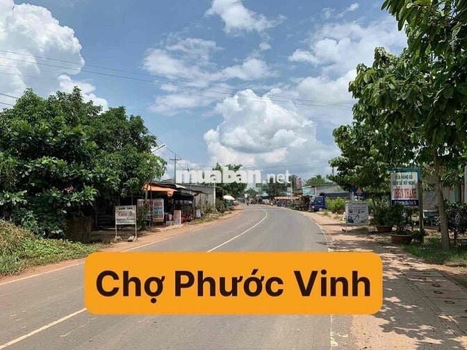 BÁN ĐẤT CHỢ PHƯỚC VINH ĐƯỜNG 788