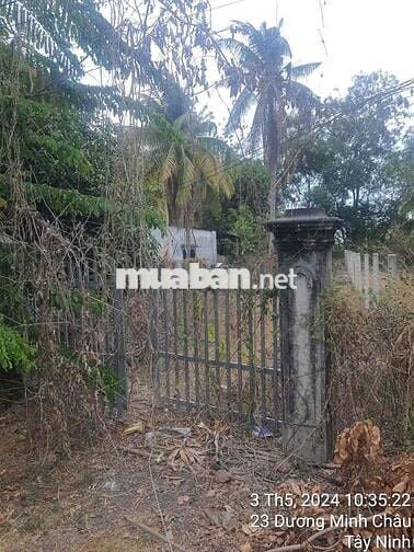 315 m² đất mặt tiền đường Lê Thị Riêng, Dương Minh Châu