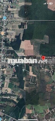 Cần Bán Đất Ngay Chợ Hảo Đước 12x88 Giá 2T8xx