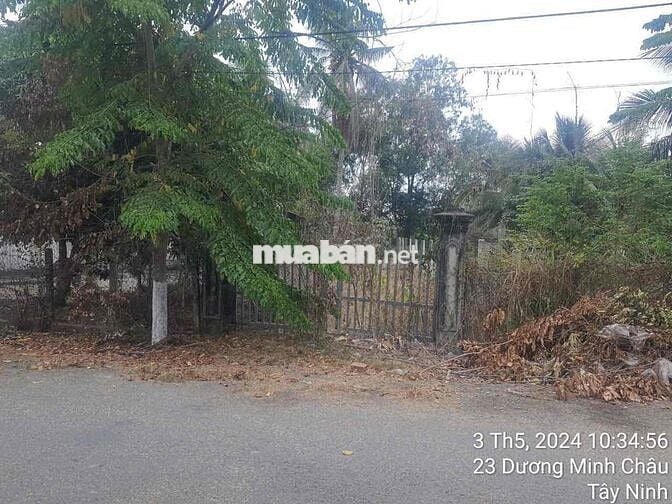 315 m² đất mặt tiền đường Lê Thị Riêng, Dương Minh Châu