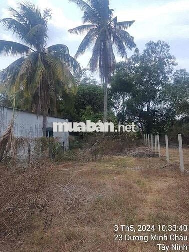 315 m² đất mặt tiền đường Lê Thị Riêng, Dương Minh Châu