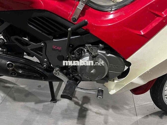 su xipo 98 zin nhiều hqcn, mới giám định ra bs